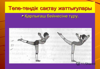 Порно блять попки