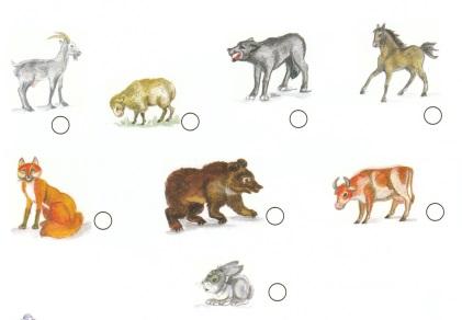 Жалаңаш мас бөкселер