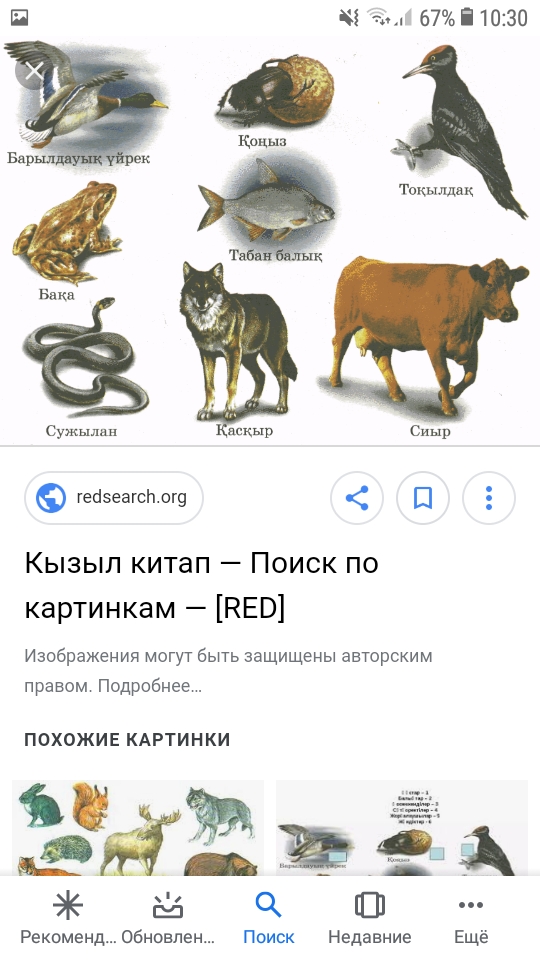 Украиналық порно фотосуреттер