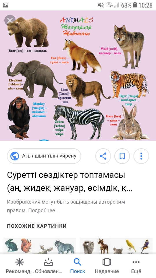 Жалаңаш теннис жанкүйерлері