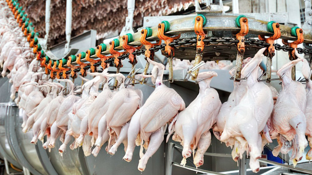 Жетілген орыс әйелдерінің үйдегі порно видеолары