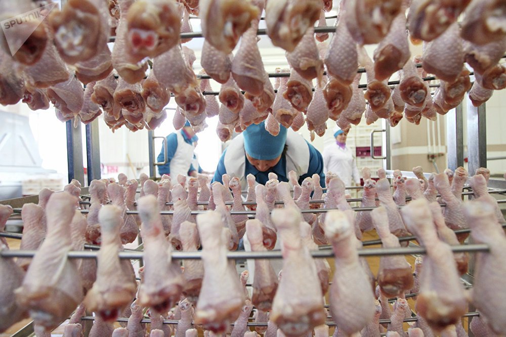 Режиссер шіркін Майлы жопа порно