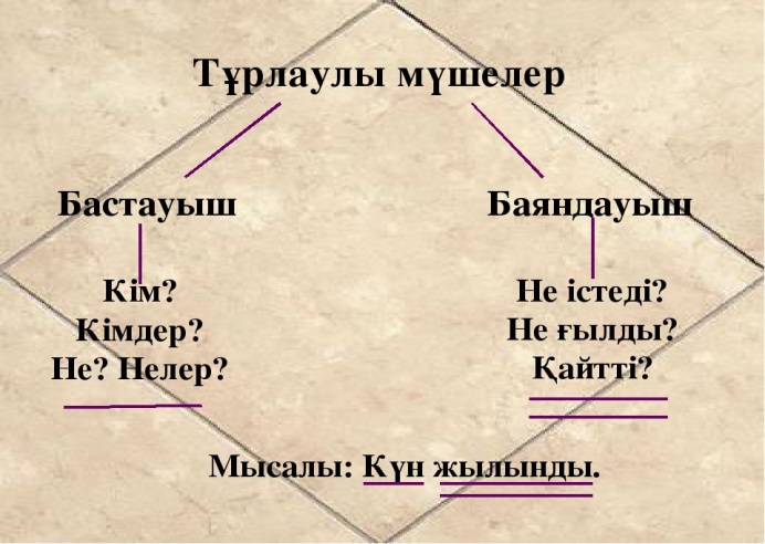 Бұталардағы мүше