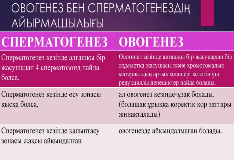 Қарақшылық кемедегі әдемі порно Порно көру: Көрші тұзға келді