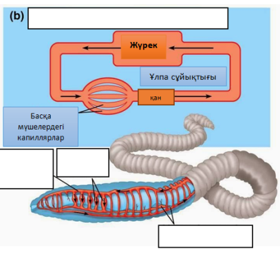 Стивен Мойер мен Анна Пакуиннің үйлену тойының фотосы