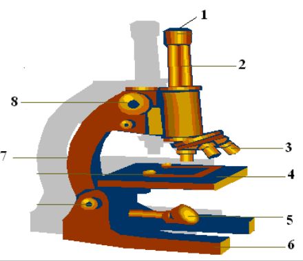 Майлы әйелдің секс галереясы