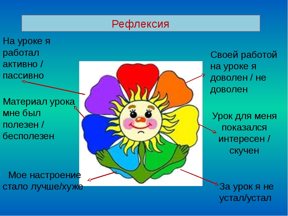 Мой цветок в моем классе. Рефлексия. Интересная рефлексия. Рефлексия цветок.