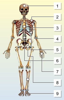 Мен анальды сексті пассивті рөлде көрдім және мен одан да көп нәрсені қалаймын. Алла Юрьевна