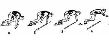 Әйелдің есегімен жыныстық қатынас