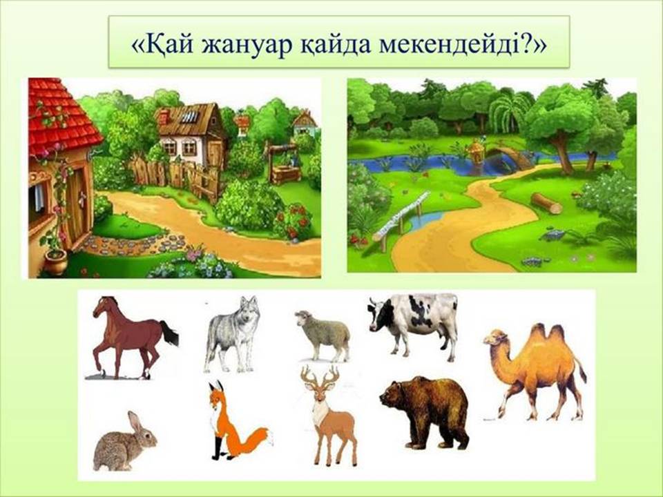 Телефонмен жыныстық қатынасқа арналған жеке жарнамалар