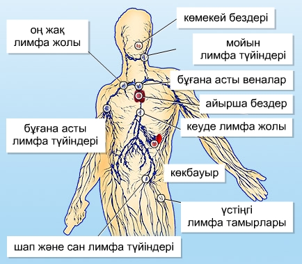 Құлпынай ұрығы
