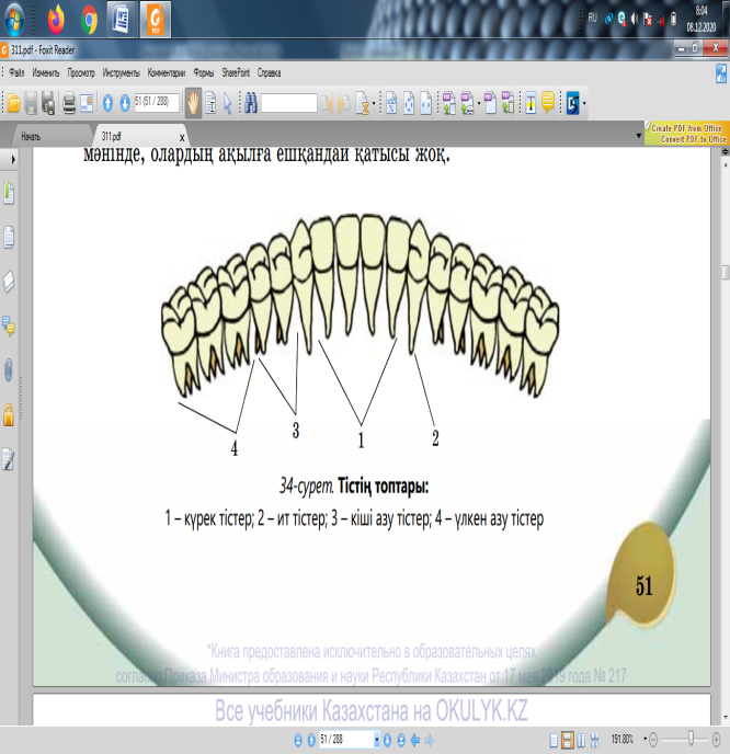Тістердің арасындағы минет