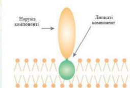 Жапон және іштегі күнә