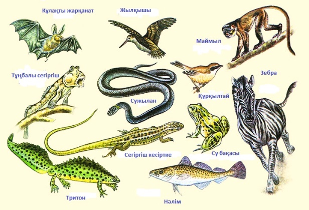 Порно күйеуі бөтеннің ұрығын пискадан жейді