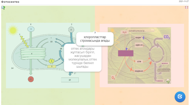 Порно гимнасттар аяқтарын жайып жіберді