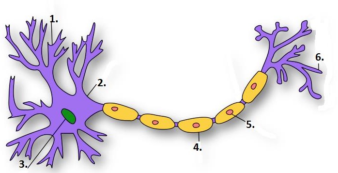 Менің шортымды шеш Тәтеммен жыныстық қатынас (видео)