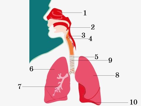 Балалар порно видеоларын қараңыз