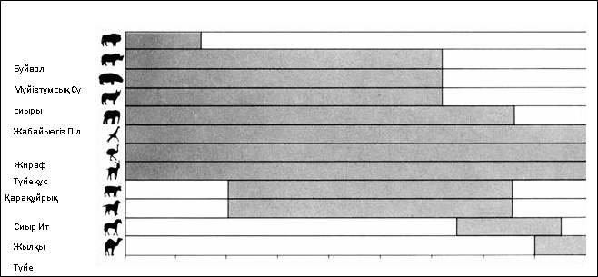 Жас томпақ семіз әйелдердің порнофотосуреттері