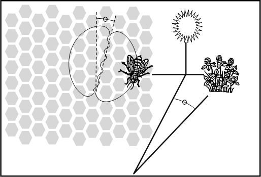 Телефонға түсірілген орыс порносы