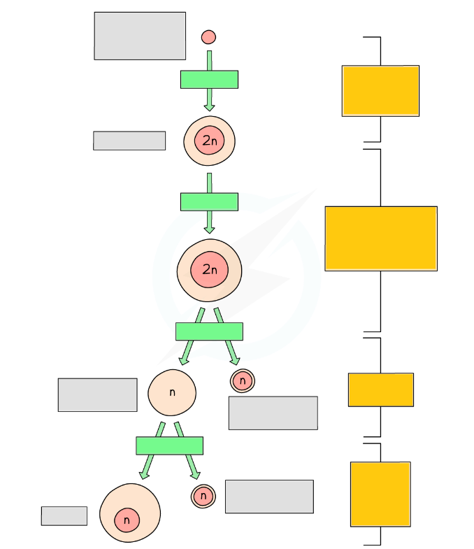 Секс ұлы әкесінің гей ұйықтап жатқанын көрді
