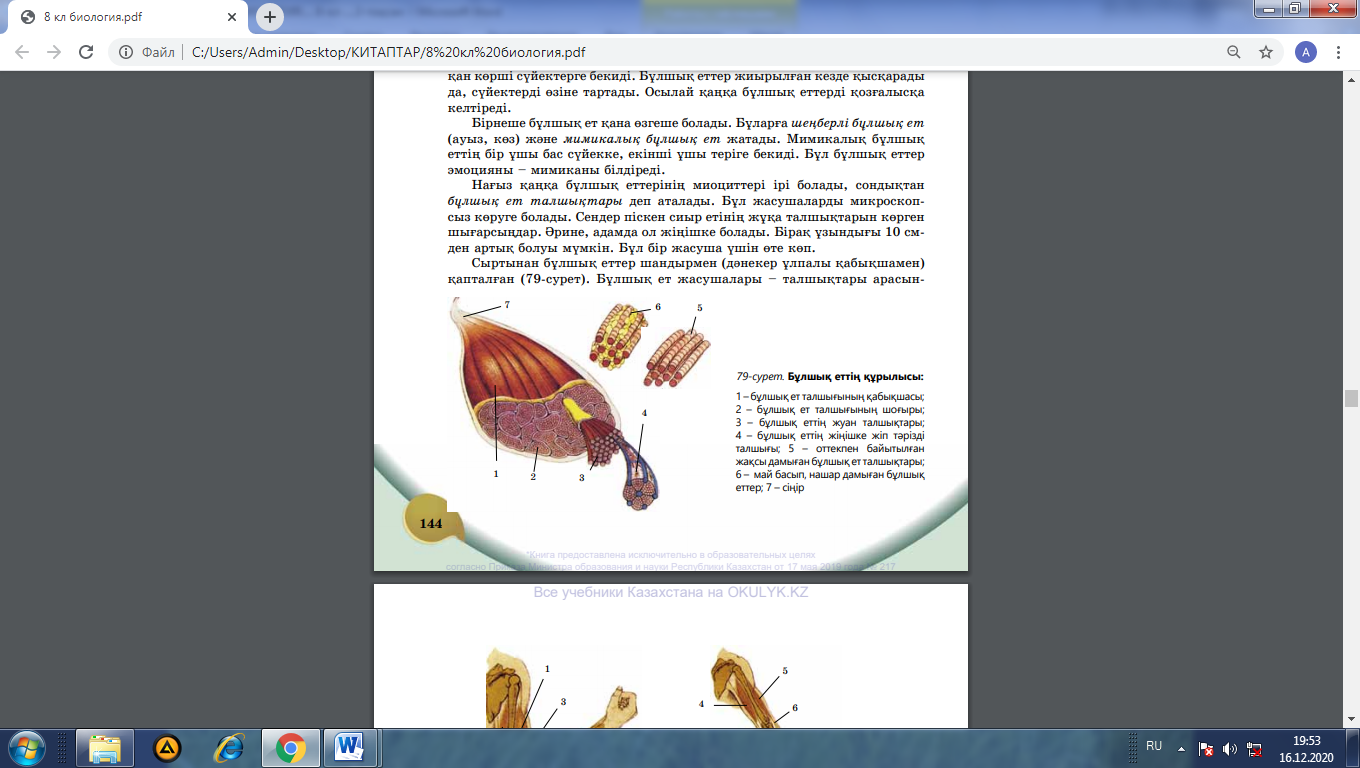 Догги стиліндегі секс