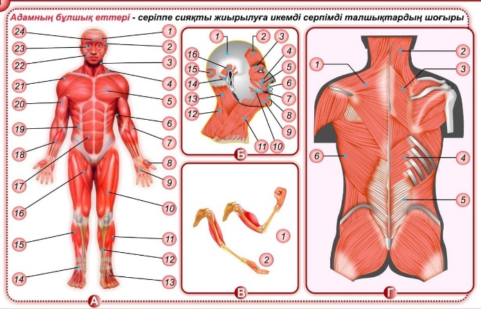 Онлайн порно kz Бейне: Аяғыңызды жайып, демалыңыз, мен бәрін жасаймын.