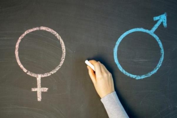 Сперматозоидтар ұйыған кезде шығарылады