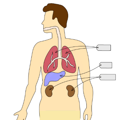 Санкт-Петербургтегі транссексуалдар, жеке жарнамалар