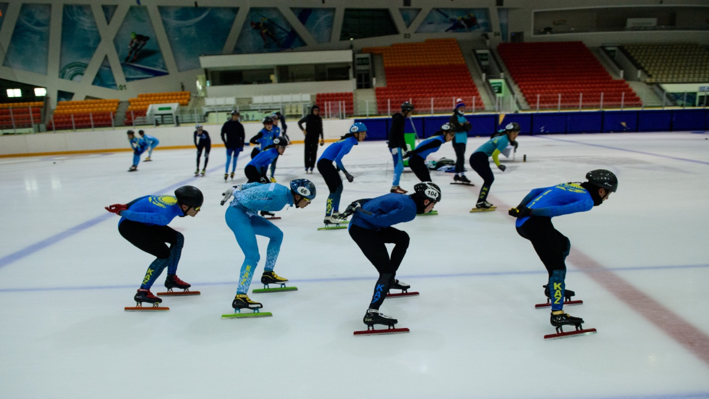 Дубайдағы түкті есек