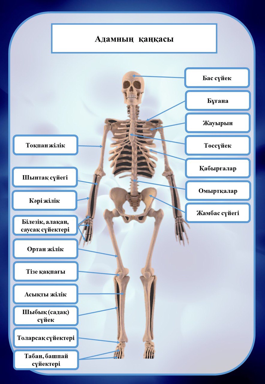 Эстелла Уорреннің эротикалық көріністері бейне Бір шұңқырға жиналған адамдар тобы