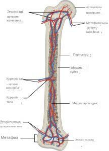 Боня Виктория порно видео