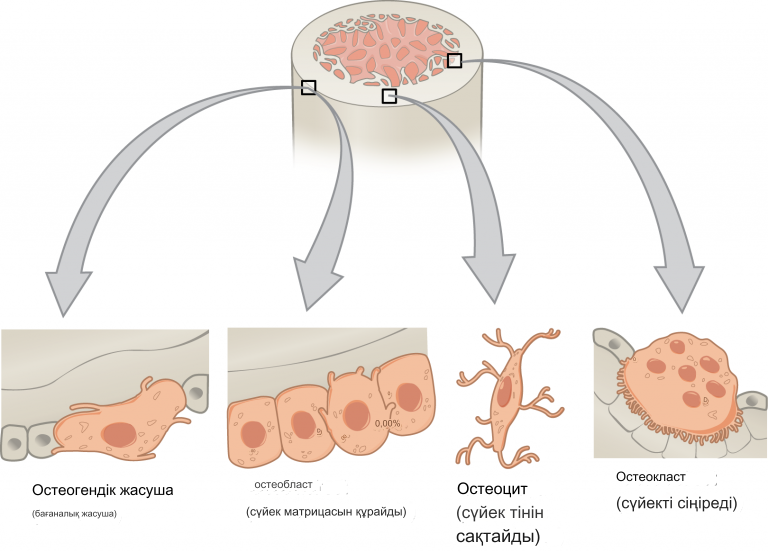 Порно алдау орысша