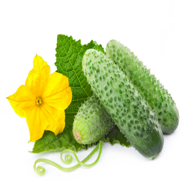 Кәрі әйелмен жыныстық қатынас