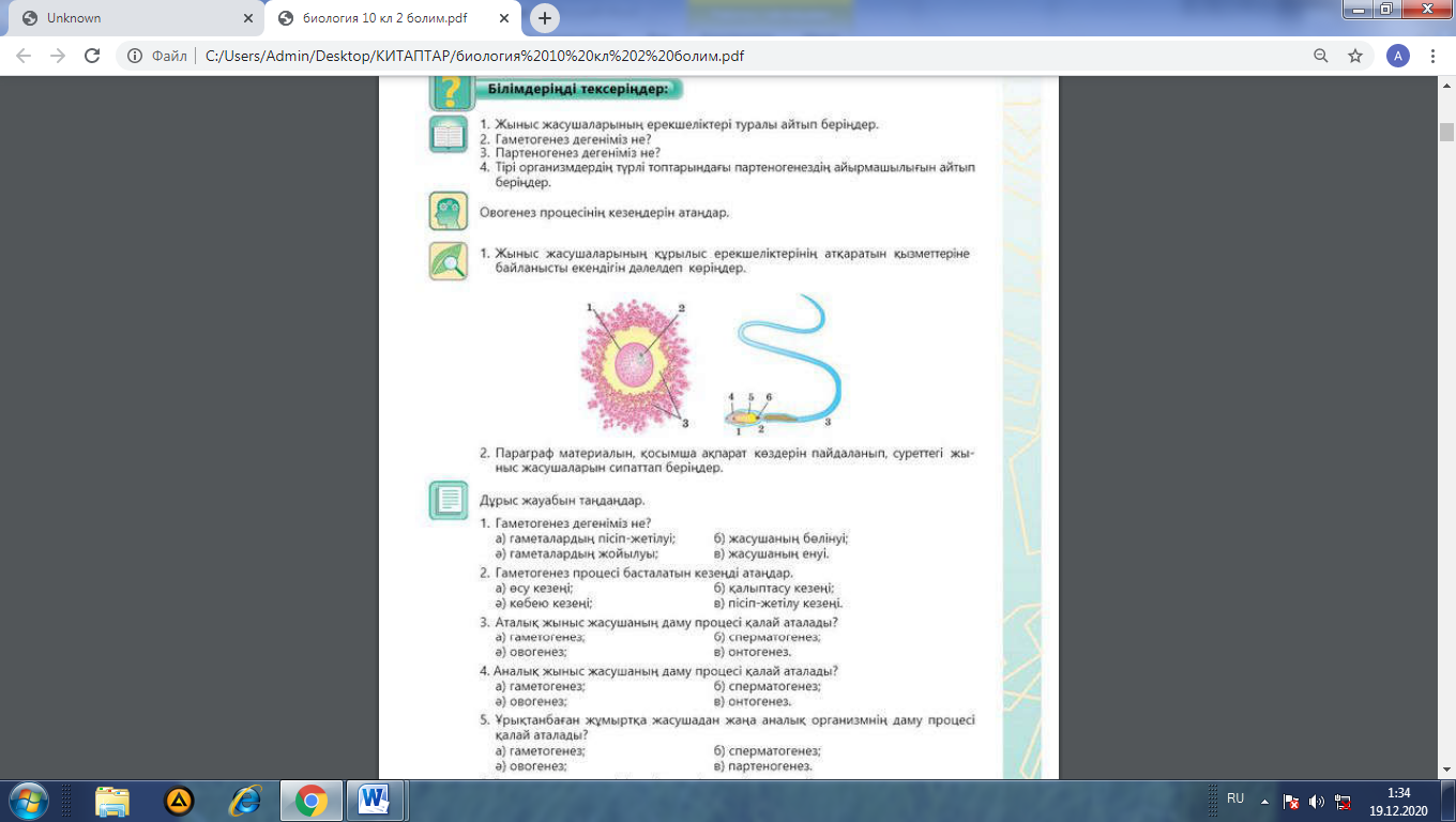 Жоспы блят видео