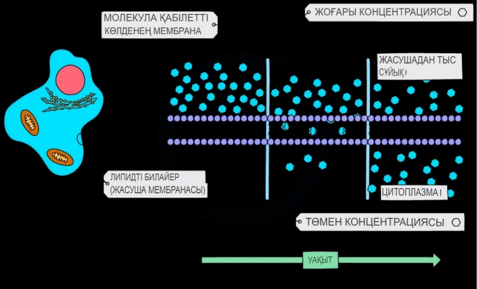 DIY VAZ 2105 фараларын баптау Житомирде секс үшін қызбен танысамын