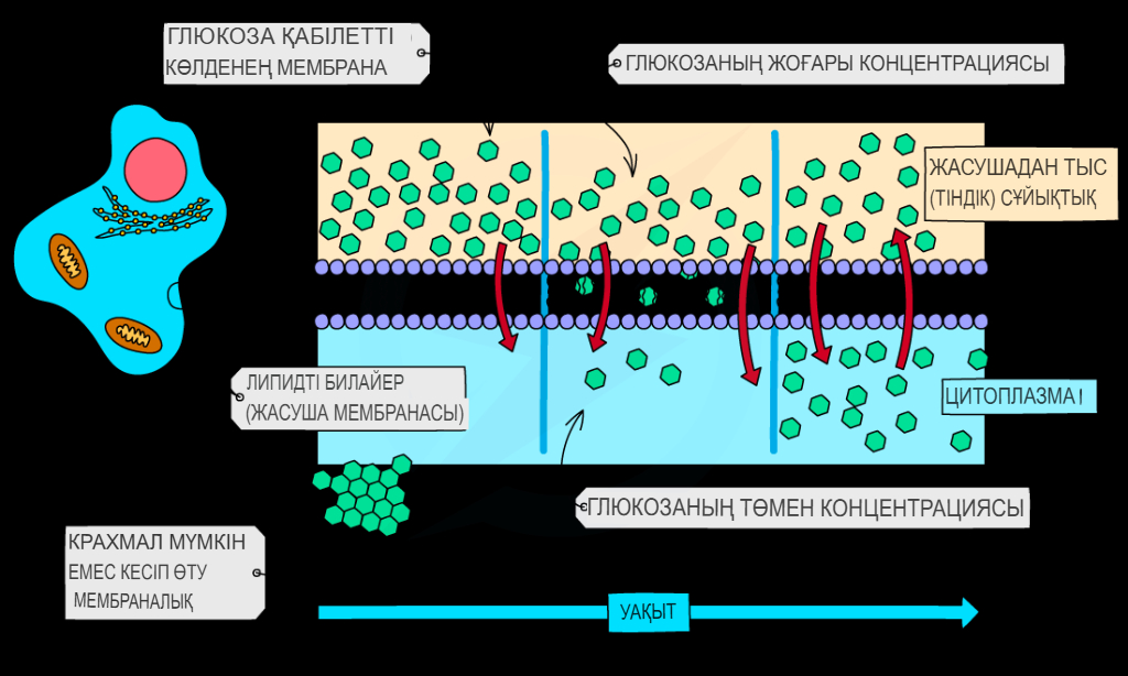 Қарау үшін жетілген порно бейнелер