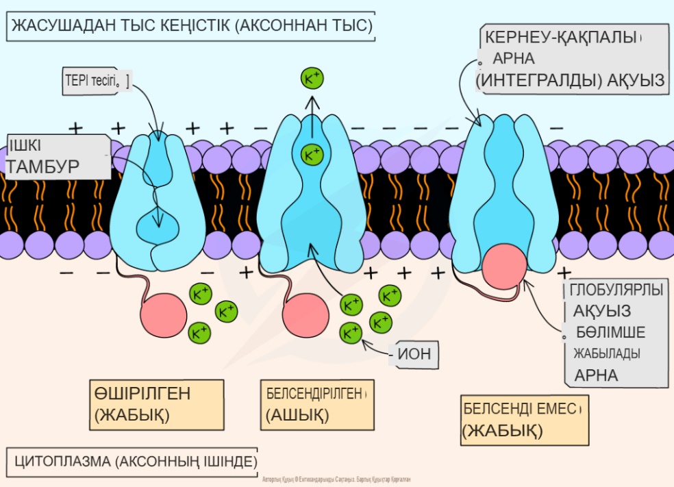Мария Шараповамен анальный секс
