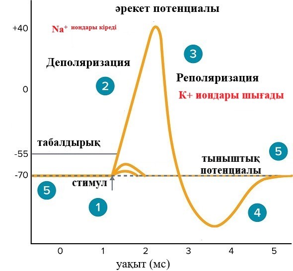 Бөтен құбыжықтармен жыныстық қатынас