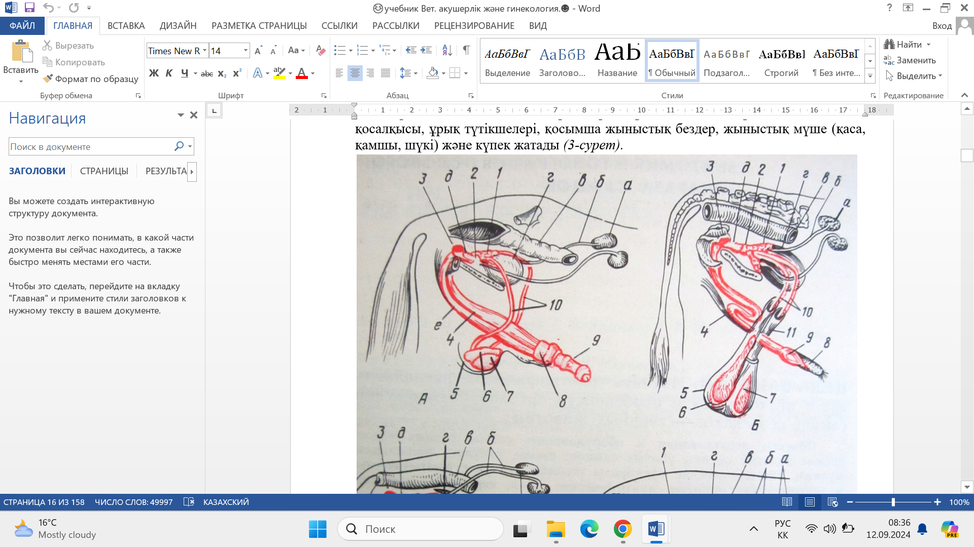 Мел Лизбоа жалаңаш