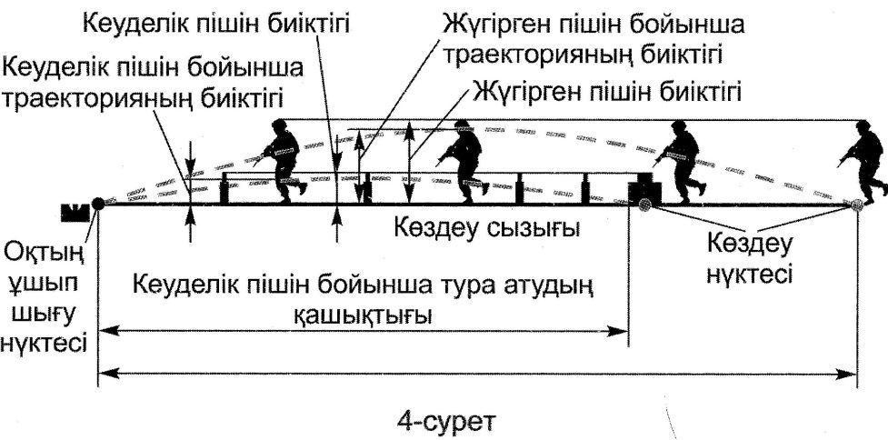 Майлы шашты анал порно