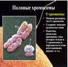 Ең жақсы ресейлік порно модельдер