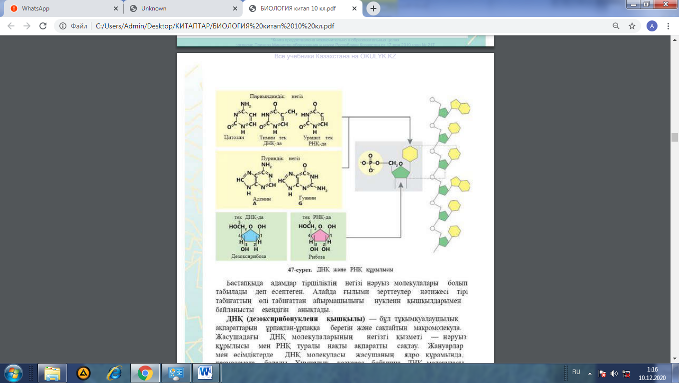 Жыныстық шұлықтарды алдын ала қарау