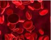 Іш киімдегі әдемі оргазм бейне