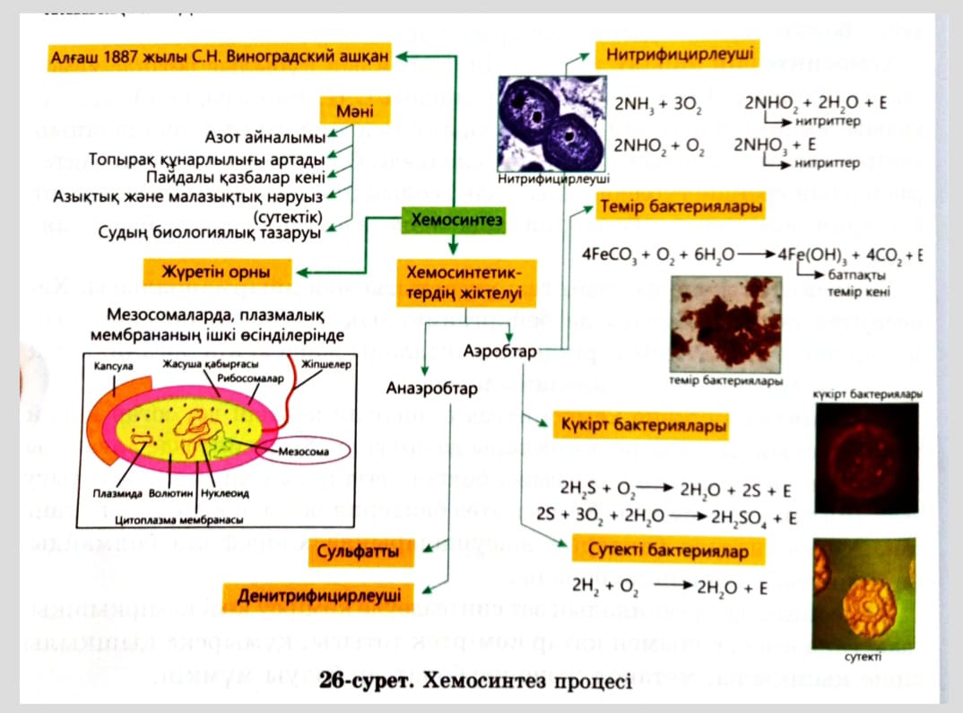 Сексуалды ананың порно видеосы Қыздың порно бұрмалануы