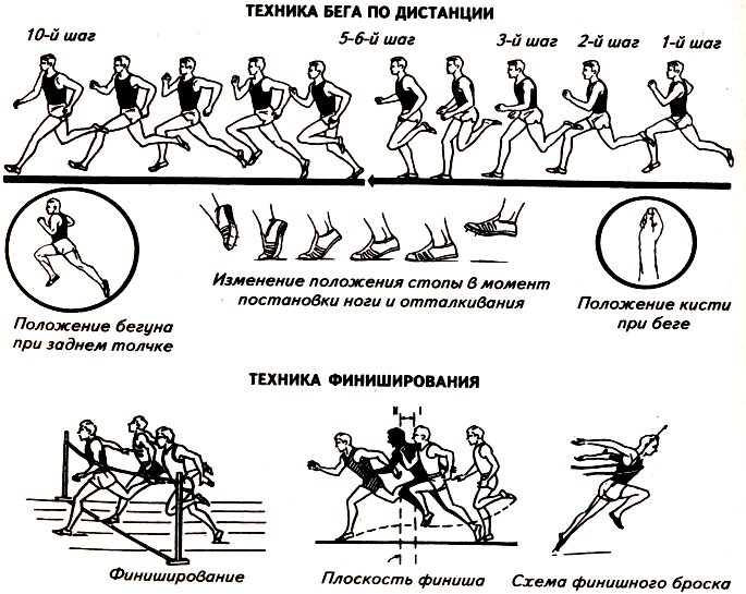 Әйелдің анальдік секс кезінде өзін ұрып-соғуы түсірілген видео