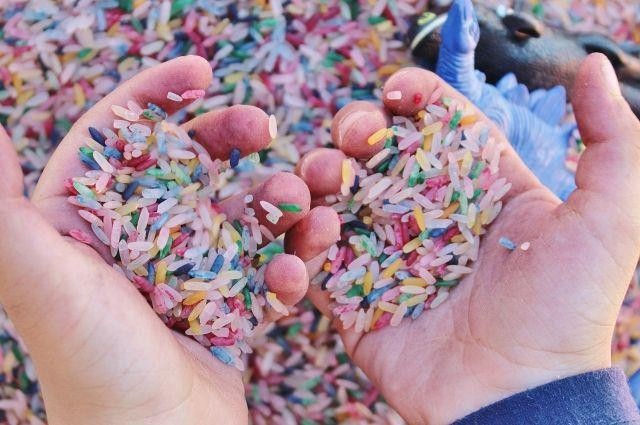 Юроичимен жыныстық қатынасты ағарту