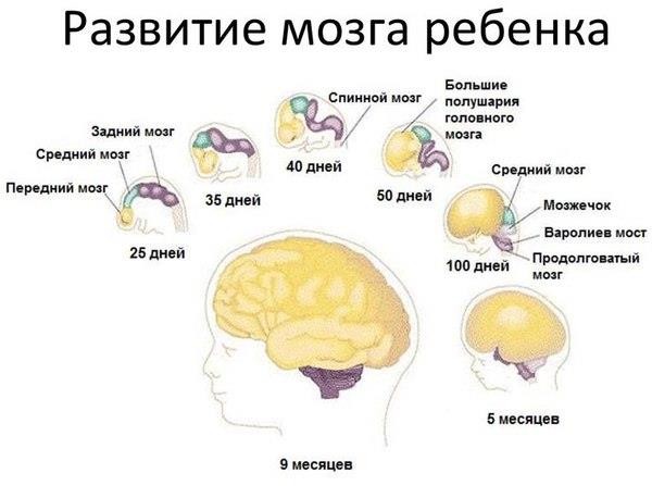 Анамның досымен орысша порно