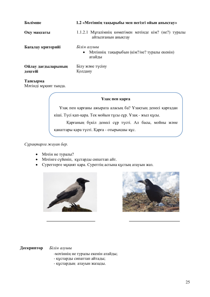 Page 25