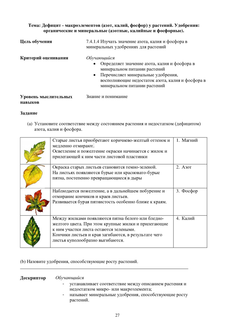 Page 27