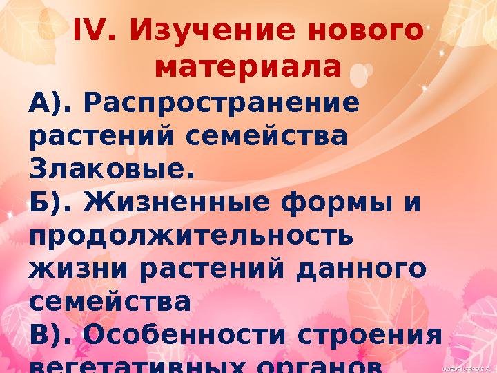 IV. Изучение нового материала А). Распространение растений семейства Злаковые. Б). Жизненные формы и продолжительность жизн